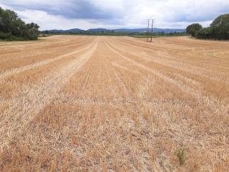 Land At Longdon Heath 